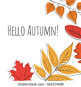 Hello autumn! Hand drawn different colored autumn leaves. Sketch, design elements. Vector illustration.