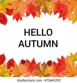 Hello autumn! Hand drawn different colored autumn leaves. Sketch, design elements. Vector illustration.