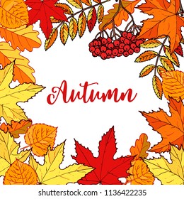 Hello autumn hand drawn fall leaves. Vector illustration for card, poster, flyer