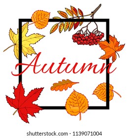 Hello autumn hand drawn fall leaves. Vector illustration for card, poster, flyer