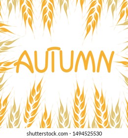 Hello autumn, hand drawn . Frame of rice wheat ears. Vector illustration . Poster, announcement, greeting card.