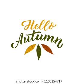 Hello autumn hand drawn lettering for print, card, poster, banner.