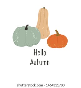 Hello autumn. Hand drawn pumpkins illustration. Vector.