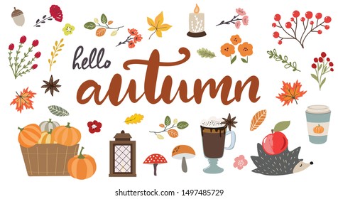 Hello Autumn hand drawn typography banner with hand drawn fall elements, hedgehog, leaves and branches.Cute autumn vector illustrations in modern sketch style