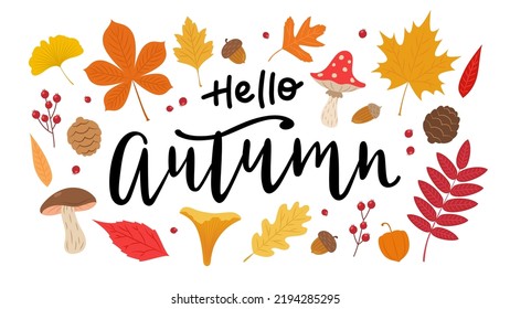 Hola caligrafía de vector dibujada a mano en otoño con hojas fijadas. Hojas, champiñones, bayas y bellotas. Ilustración vectorial de elementos estacionales de caída