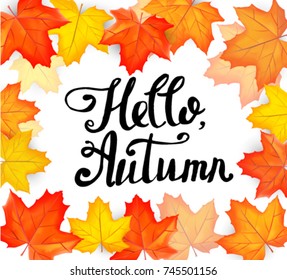 Hello autumn hand lettering. ector illustration on the background of autumn leaves
