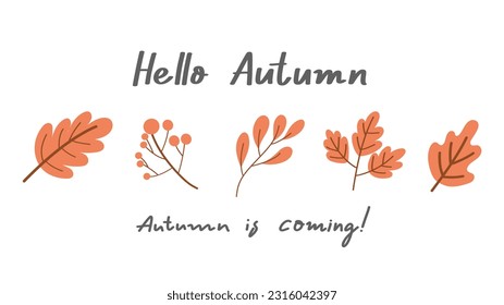 Hello autumn hand lettering with leaves , isolated on white background , illustration Vector EPS 10