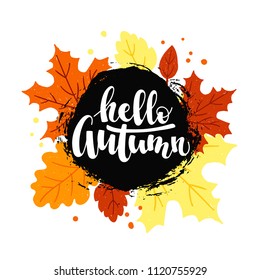 Hello autumn hand lettering phrase on black background decorated with autumn leaves isolated on white. Vector illustration.