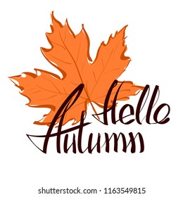 Hello autumn hand lettering phrase on orange vector maple leaf background. Hand written slogan hello autumn bright watercolor texture isolated on white background for your poster, flyer or card design