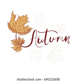 Hello autumn hand lettering phrase on maple leaf background