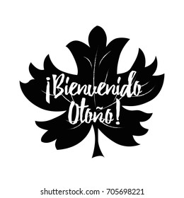 Hello autumn hand written inscription into black hand drawn maple leaf shape. Cute print on the white background. Title in Spanish. Vector illustration.