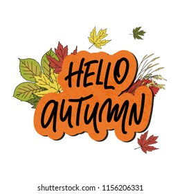 Hello Autumn. Handwritten Autumnal season inscription. Vector illustration with autumn leaves isolated on white background. Badge, tag, icon. Inspirational quote card, invitation, banner. 
