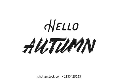 Hello Autumn. Handwritten modern brush calligraphy for invitation and greeting card, t-shirt, prints and posters.