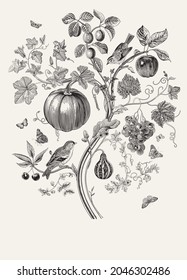 Hola, otoño. Cosecha. Ilustración botánica otoñal. Árbol de otoño. Negro y blanco 