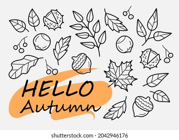 Hello Autumn. Autumn harvest symbols. Set of autumn elements: leaves, berries, fruits, vegetables, mushrooms, acorns. Hand-drawn, sketch. Vector illustration in doodle style.