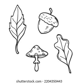 Hello Autumn. Autumn harvest symbols. Set of autumn elements: leaves, mushrooms, acorns. Hand-drawn, sketch. Vector illustration in doodle style.