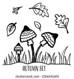 Hello Autumn. Autumn harvest symbols. Set of autumn elements leaves, berries and mushroom. Hand drawn, sketch. Vector illustration in doodle style.