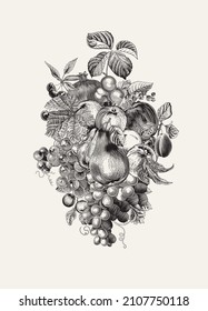 Hola, otoño. Cosecha. Ilustración botánica vintage de otoño. Composición de frutas. Negro y blanco 