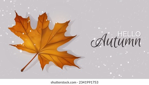 Hello autumn horizontal web banner with maple leaf