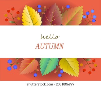 Hello, autumn. Horizontal white  rectangle with a phrase decorated with  autumn leaves and twigs of berries on an orange background. Design for greeting card, advertising poster, flyer, web banner.