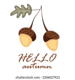 Hello autumn illustration. Autumn card with cute acorn and lettering. Cute vector illustration.