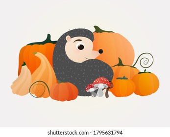 Hello autumn illustration, cute hedgehog sitting among the harvest of pumpkins and mushrooms, clildish concept for sticker or print