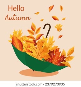 Hello autumn illustration. Autumn fall concept with umbrella and leaves inside with quote - Hello Autumn. Typography retro colors design. Stock vector