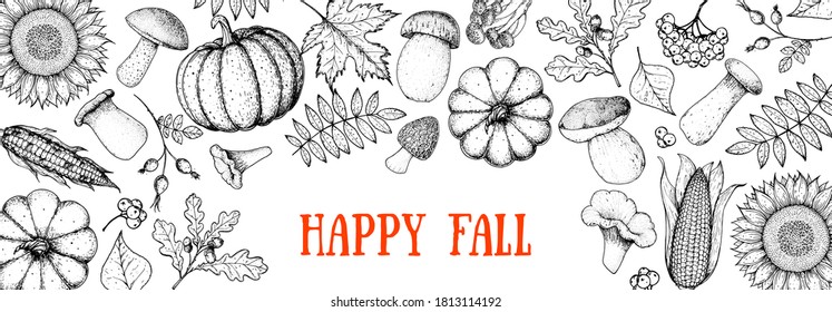 Hello autumn illustration. Autumn harvest. Hand drawn frame with fall leaves, pumpkins, mushrooms, sunflower. Vector illustration. Thanksgiving design template. Sketch design.