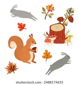 Hello Autumn illustration. Nature and wild forest animals vector. Autumn yellow leaves, sea buckthorn branch, wooden stump with cones, mushrooms, gray bunnies and red squirrel with acorn