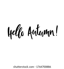 Hello autumn. The inscription on the t-shirts, card, poster, notebook. Lettering on a white background. Calligraphy. Vector.