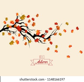 Hello autumn. Autumn landscape with autumn leaves on the branches of trees