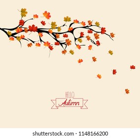 Hello autumn. Autumn landscape with autumn leaves on the branches of trees