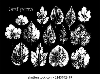 Hello Autumn. Leaf fall. Set of print different leaves. White on black background.