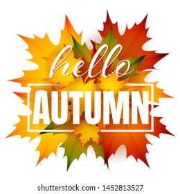 Hello autumn leaflet design with heap of leaves. Text with frame, orange and yellow maple foliage. Vector illustration can be used for banners, brochures, greeting cards
