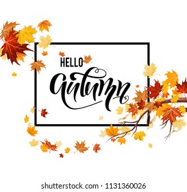 Hello autumn leaves