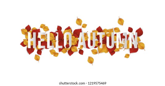 Hello autumn leaves background. Thanksgiving day vector illustration. Web banner template design. Very beautiful