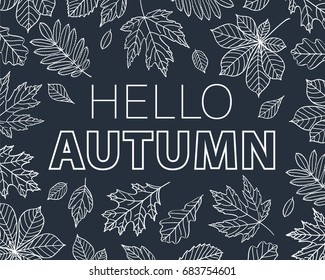 Hello autumn. Leaves of different trees drawn with chalk on black chalkboard. Vector illustration.