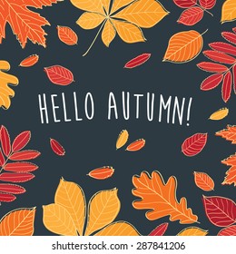 Hello autumn! Autumn leaves are drawn with chalk on black chalkboard. Sketch, design elements. Vector illustration.