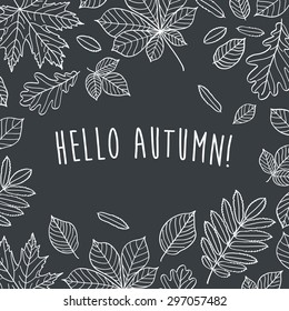 Hello autumn! Autumn leaves are drawn with chalk on black chalkboard. Sketch, design elements. Vector illustration.