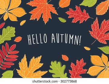 Hello autumn! Autumn leaves are drawn on the black chalkboard. Sketch, design elements. Vector illustration.