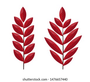 Hello autumn, autumn leaves flat, colored leaves isolated set, vector illustration