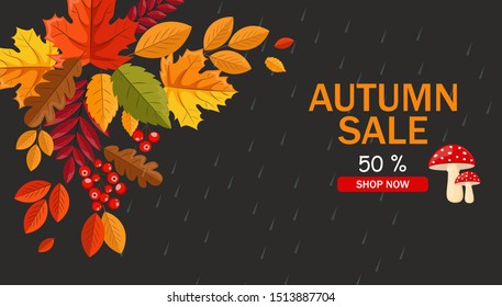 Hello autumn, autumn leaves flat, colored leaves isolated set, autumn elements, autumn banner, sale banner vector illustration
