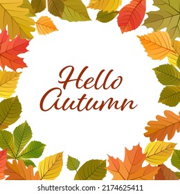 Hello Autumn leaves frame vector cartoon illustration. Yellow, green, red, orange fall leaves card template on white background