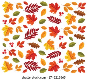 Hello autumn, leaves pattern, autumn leaves flat, colored leaves isolated, autumn elements, autumn banner, sale banner set vector illustration