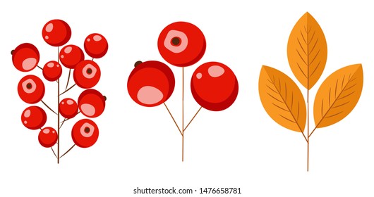 Hello autumn, autumn leaves and red berries flat, colored leaves isolated set, vector illustration