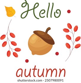 Hello autumn lettering with acorn and leaves. Vector illustration.