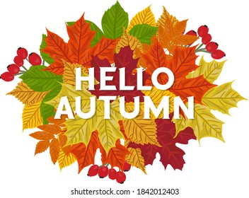 Hello Autumn lettering background in colorful fall leaves
