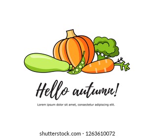 Hello autumn lettering card with the harvest. Vector illustration with colorful fall vegetables, carrot, broccoli, zuccini, pumpkin.