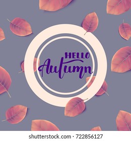 Hello Autumn lettering in circle frame on grey background with foliage, vector illustration