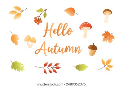 Hello Autumn. Autumn lettering with fall elements. Cute different leaves, mushrooms and acorns. Vector illustration on a white background with gradient. Inscription for card, invitation and banner.